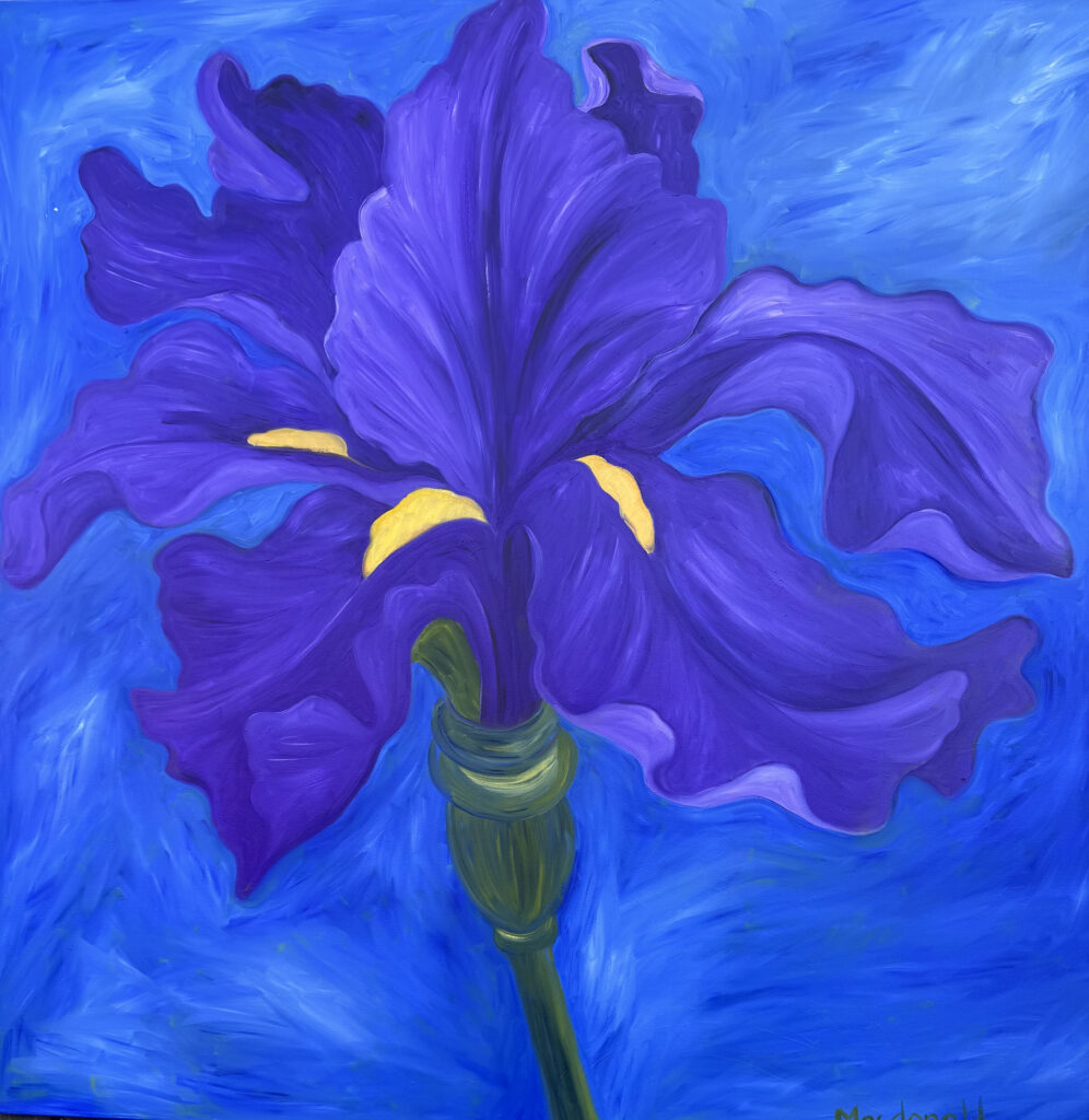 ArtfinderGiantPurpleIris-1.jpg