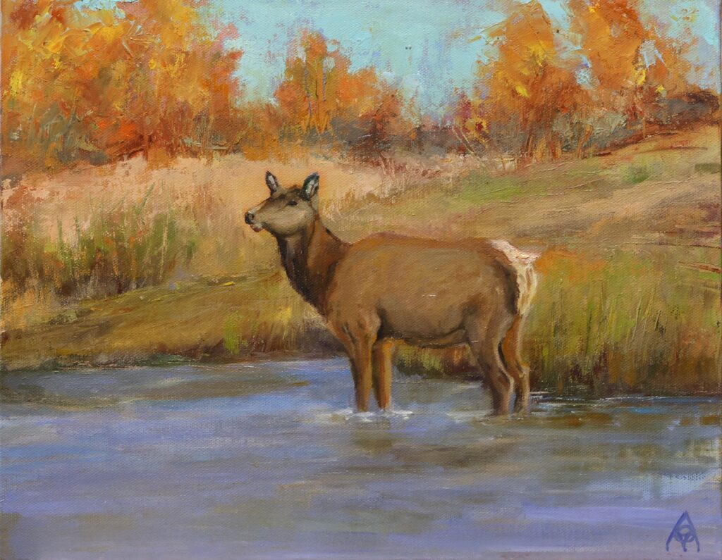 Elk on the Madison