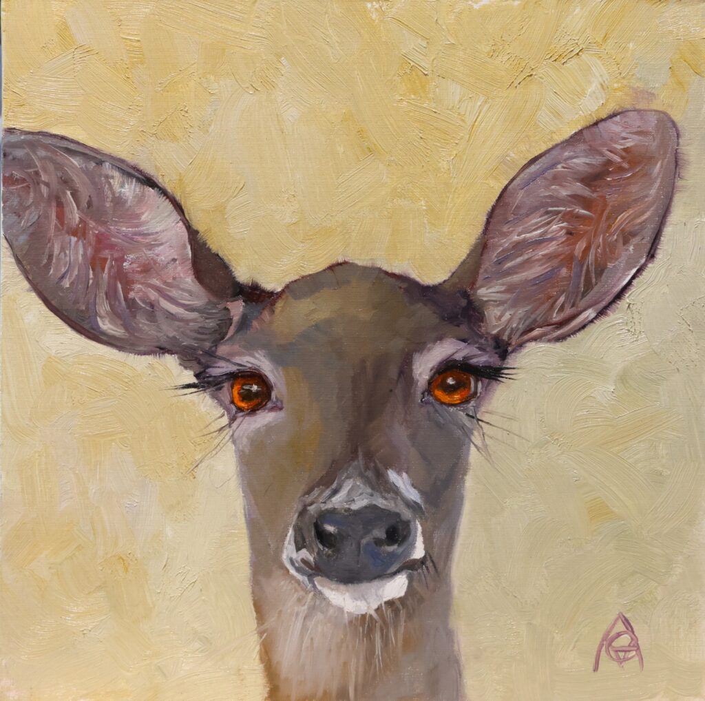 Mule Deer Portrait