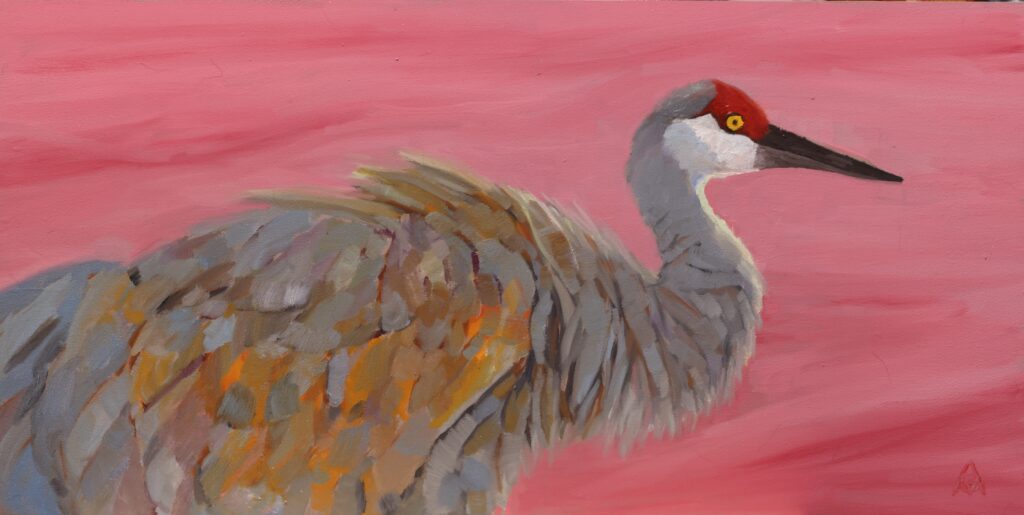 Sandhill