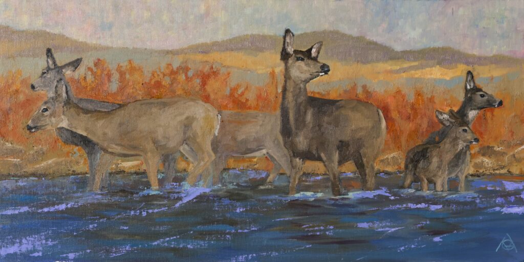 Crossing RIvers