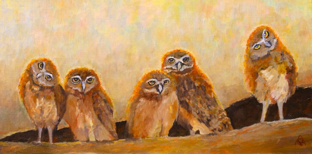 A Stare of Owls