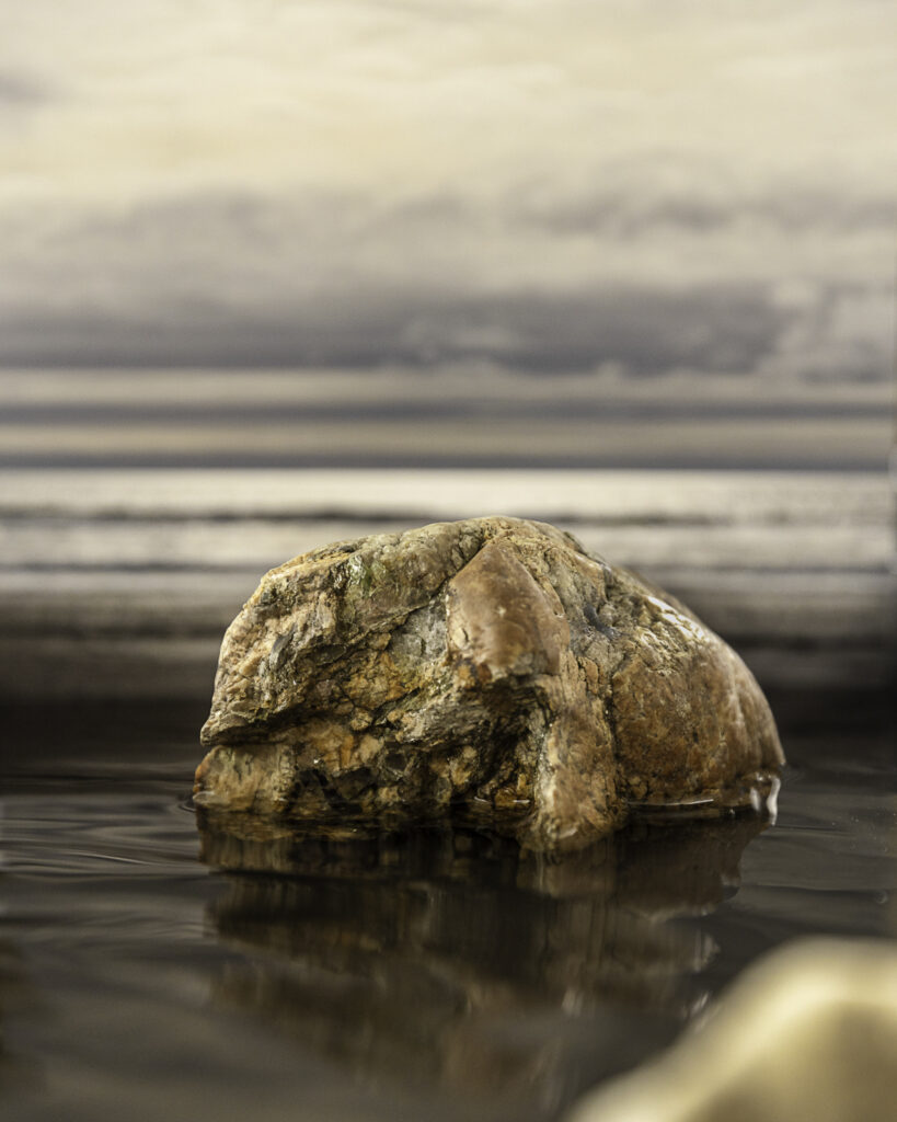 ...then out of the forest the rock the sea the day the sunset. (From the "Imaginary Landscapes" series)