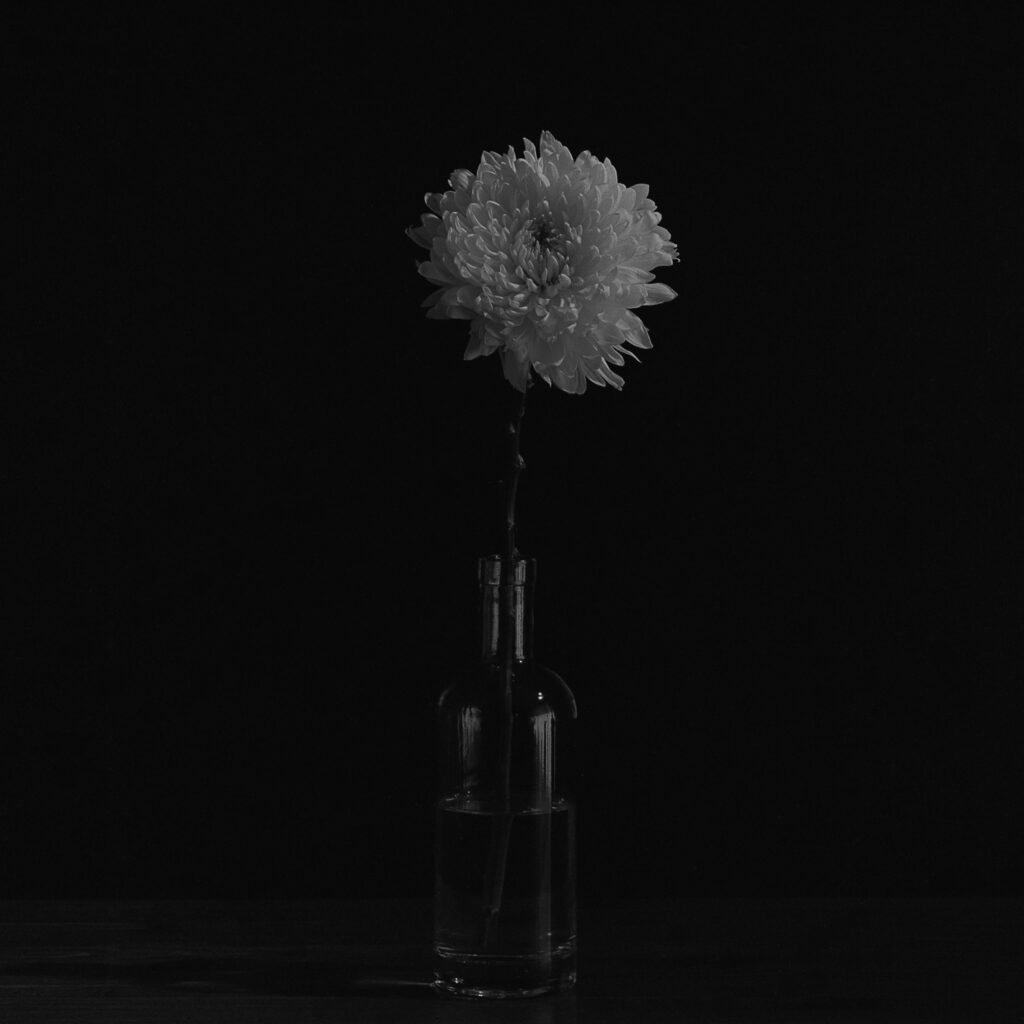 As if from nothing all is born at once
