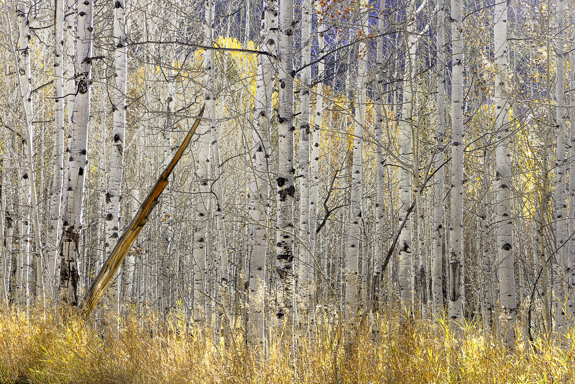 Jeffery Oliver - Hero Image