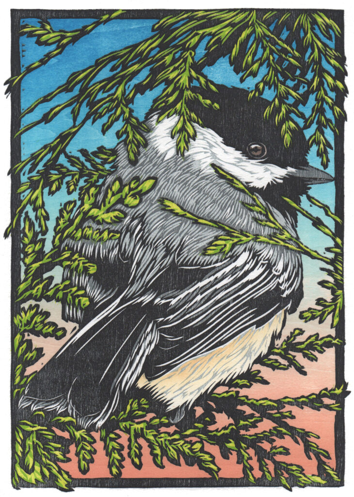 Agency of our Birds