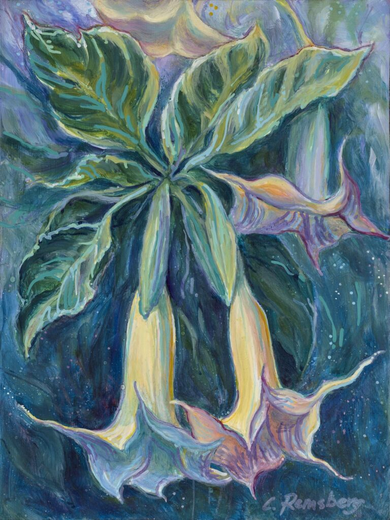 Angels Trumpet