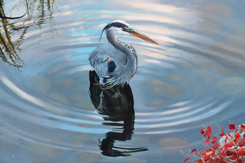 Great Blue Heron and the Ripple