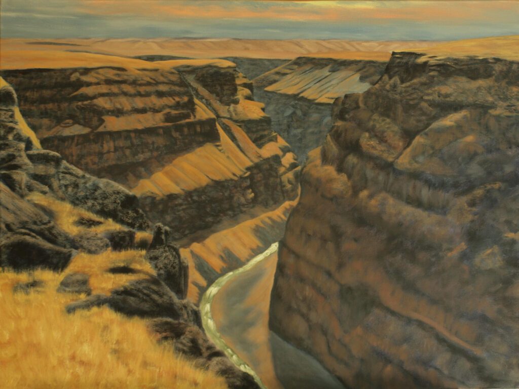 Bruneau River Canyon
